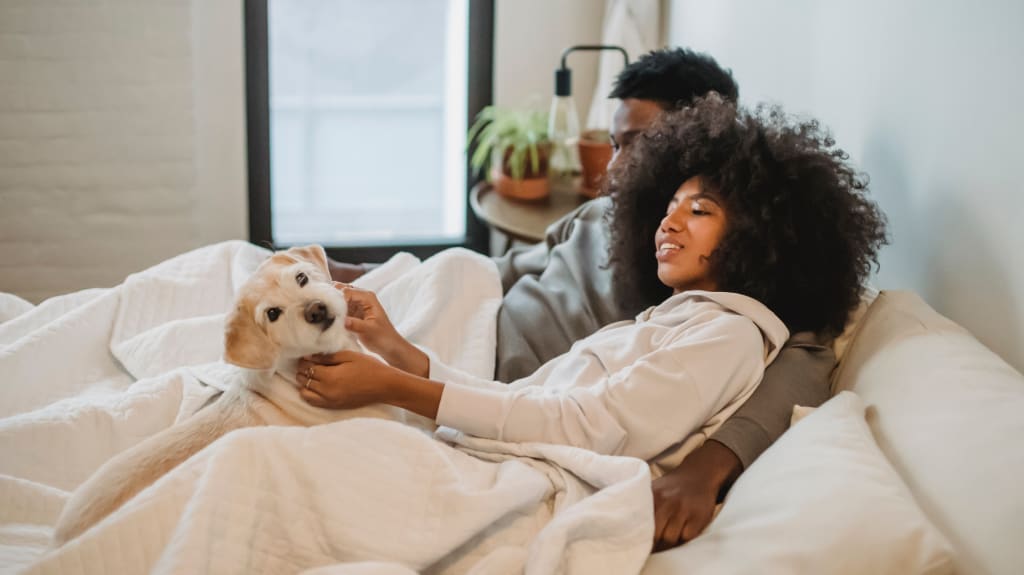 Couple au lit avec un chien