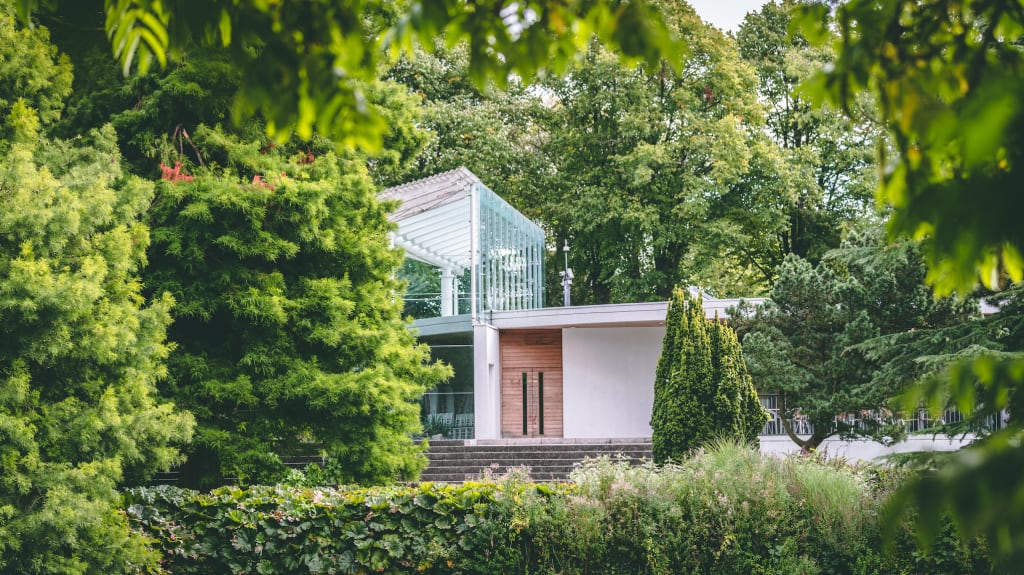 Maison moderne entourée d'arbres