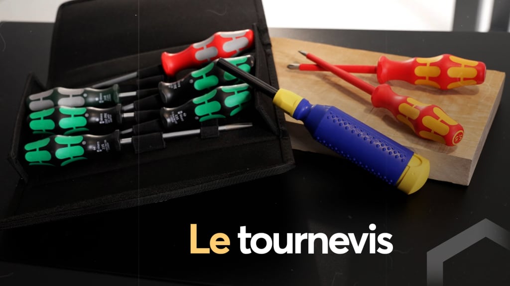 Différents modèles de tournevis présentés dans une capsule du coffre à outils de Stéphanie Lévesque