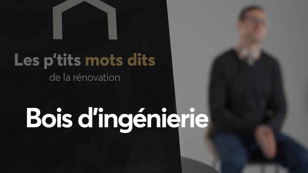 Vidéo de l'humoriste Louis T qui explique ce qu'est le bois d'ingénierie