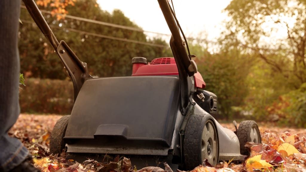 Tondeuse noire et rouge sur les feuilles d'automne.