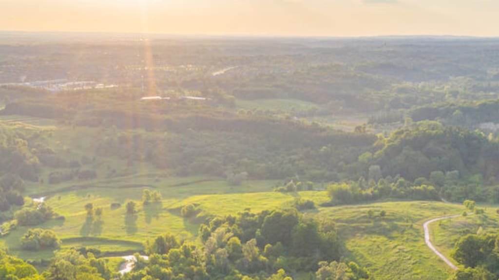 Vue aérienne de champs et forêts