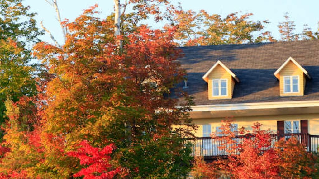 Property considered as a primary residence with yellow siding surrounded by colorful autumn trees