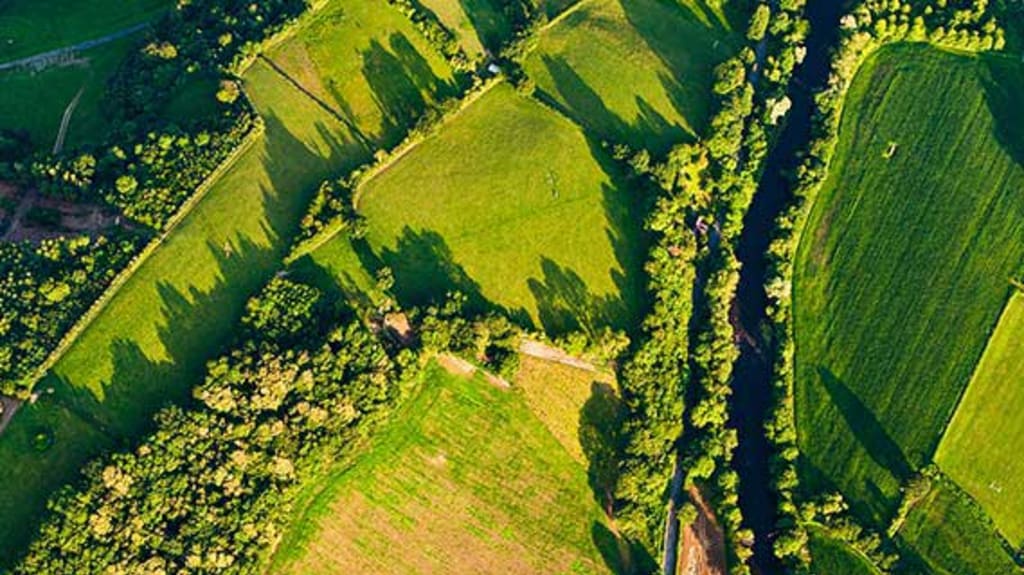 Aerial view over several green lands