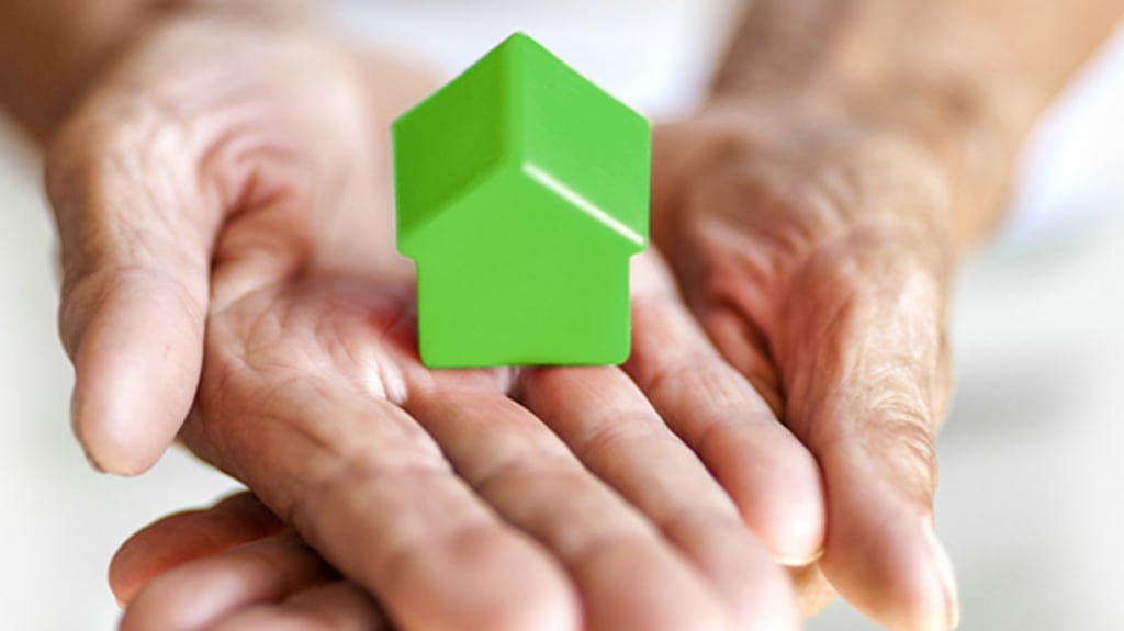 Hands of an older person holding a small green house