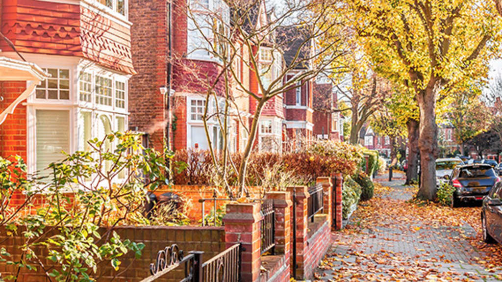 Row house neighborhood in front of a tree shedding its leaves in autumn during this positive season for real estate
