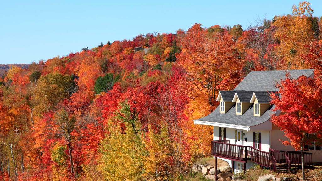 Belle maison de campagne en automne avec arbres colorés