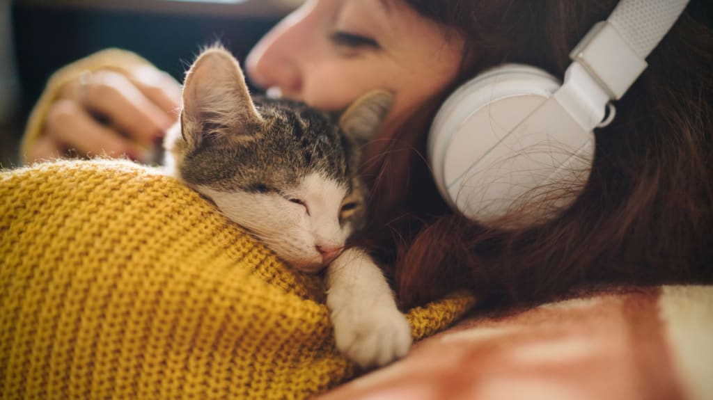 Woman wearing headphones and sweater, listening to music while holding her cat