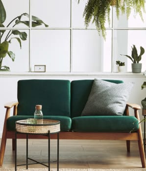 Green velvet sofa surrounded by plants in a living room 