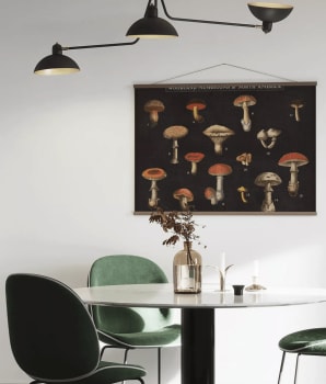 Frame with mushrooms in various shapes on a dining room wall
