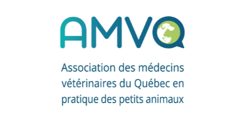 Logo Association of Veterinary Doctors in Quebec Practicing Small Animals