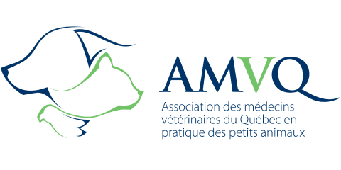 Logo Association des médecins vétérinaires du Québec en pratique des petits animaux 