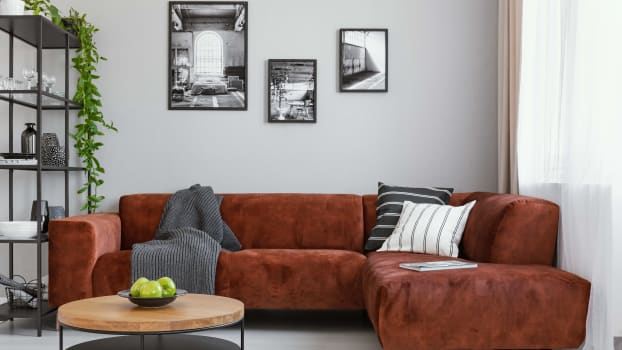 Rust-colored sofa