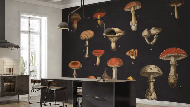 Papier peint de gros champignons dans une cuisine