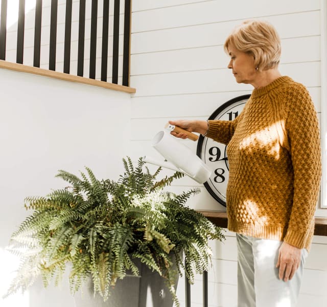 Une femme à l'intérieur d'une maison qui arrose une plante verte avec un arrosoir blanc