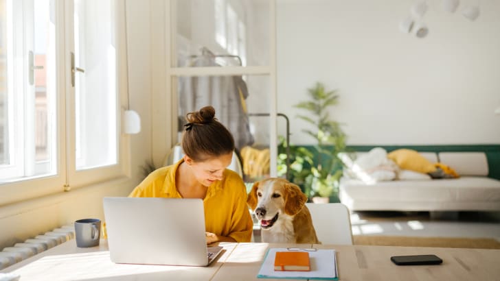 Une personne travaillant sur un ordinateur portable avec un chien