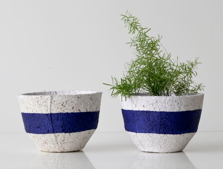 Deux cache-pots en papier recyclé gris pâle et bleu saphir, plant de romarin