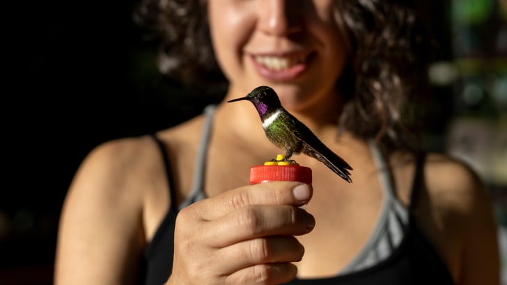 Femme tenant un colibri, perché sur un bouchon
