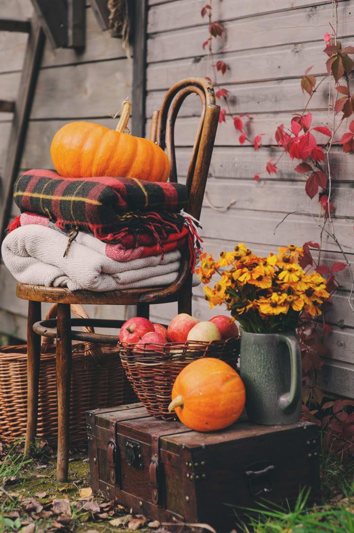 Décorations d’automne avec citrouilles, pommes, fleurs et couvertures