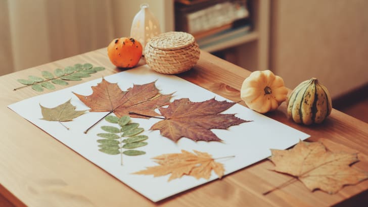 Collage de feuilles d'automne séchées sur petite table en bois