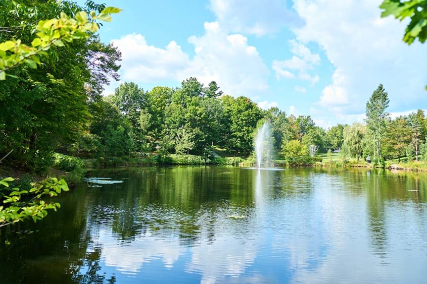 Park and marsh surrounded by trees in the city of Sherbrooke