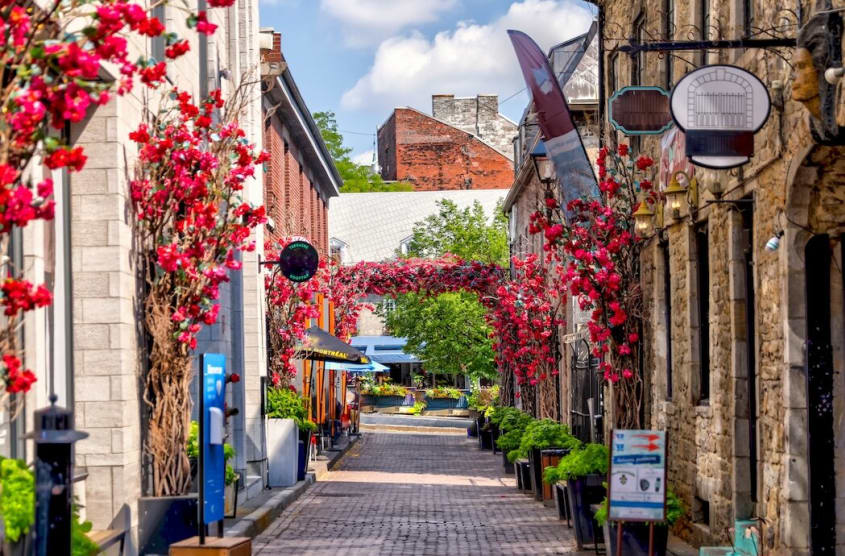 Montréal alley filled with flowers