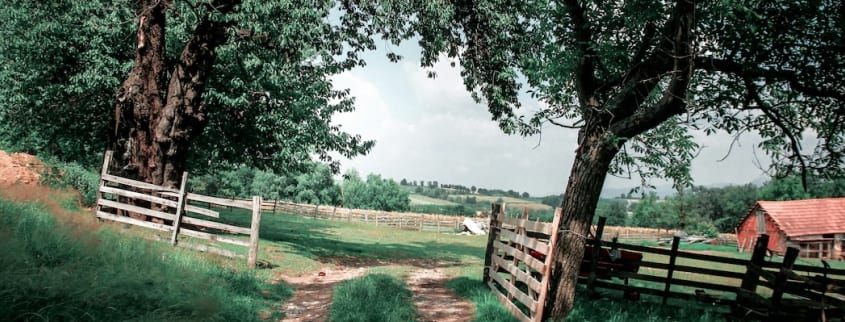 Un chemin qui mène à une ferme traverse un champ