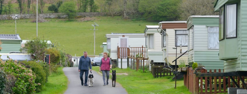 Two people walking their dogs in a mobile home park