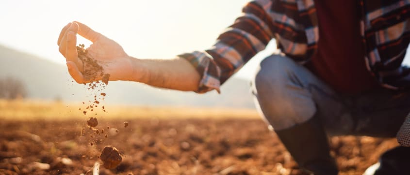 Personne analysant le type de sol d'un terrain