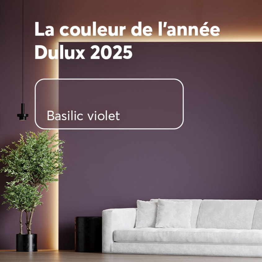 Basilic violet, couleur de l’année Dulux 2025 sur les murs d’un salon avec divan blanc