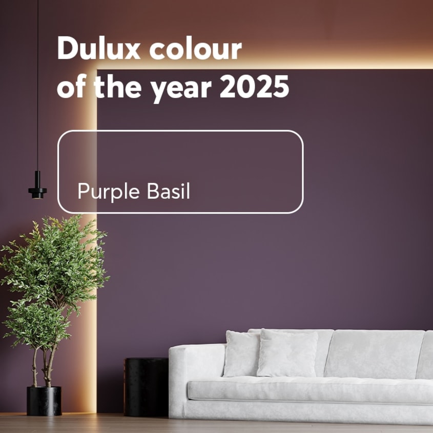Purple Basil, Dulux 2025 colour of the year on the walls of a living room with white sofa