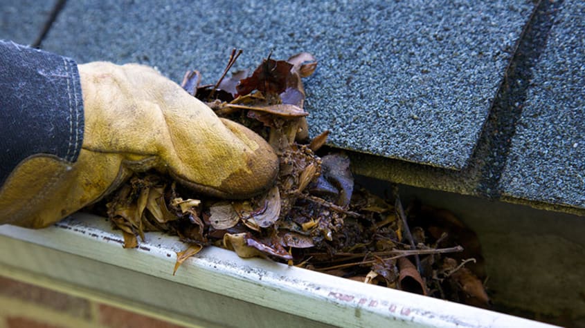 Gutter cleaning