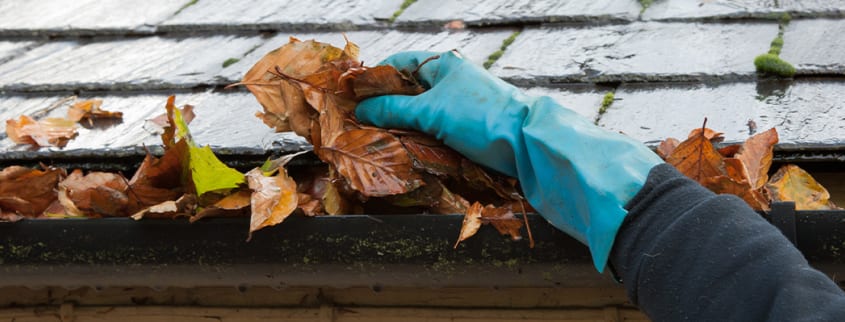 Personne nettoyant les gouttières de sa maison