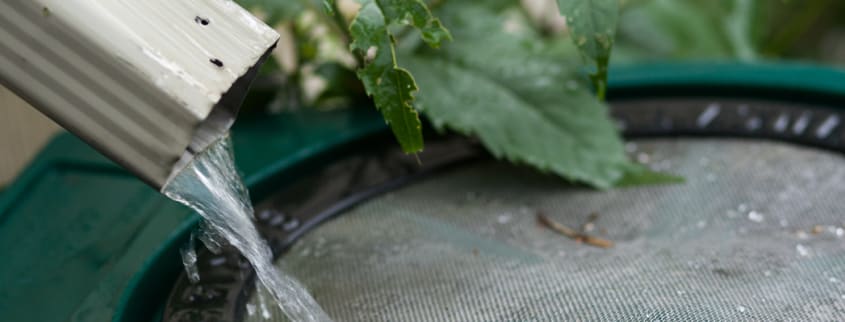 Water harvesting system using gutter